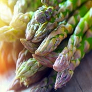 Jersey-Supreme 10 Live Asparagus Bare Root Plants -2yr-Crowns from Hand Picked Nursery