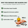 thumbnail image 5 of Wild Alaskan Salmon Oil for Dogs and Cats by Iceland Pure | 1,043 mg of Omega-3 per Teaspoon | Salmon Oil & Pollock Blend | BPA-Free Brushed Aluminum Epoxy Coated Bottle with Pump - 8.75 oz, 5 of 9