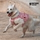 thumbnail image 3 of Arnés táctico para perros OneTigris, sin tirones, para perros pequeños, color rosa M, 3 of 7