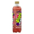 Splash Fizz, Raspberry Blackberry Flavor Sparkling Water Beverage, 20