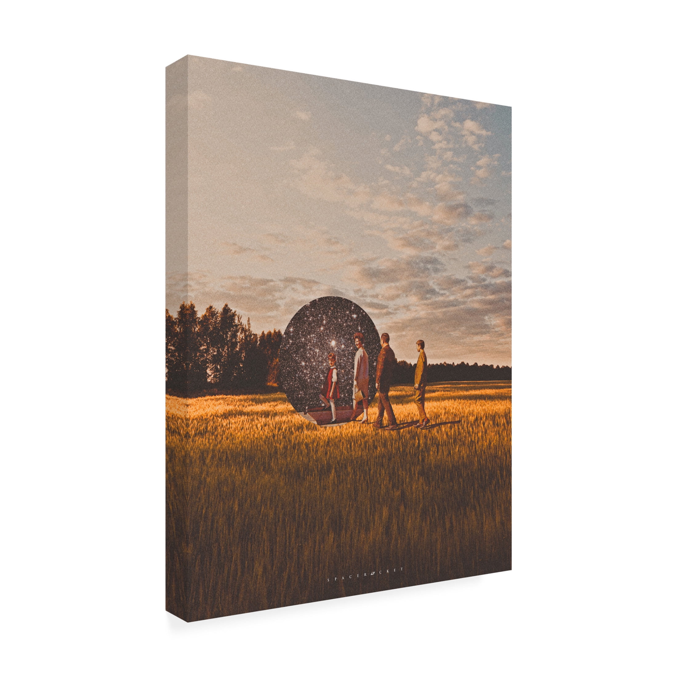 Trademark Fine Art spacerocket art  205 Canvas Wall Art