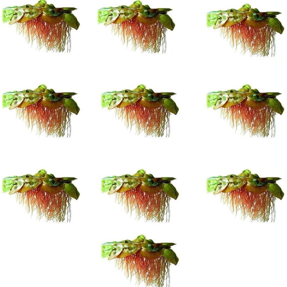 Red Root Floater Phyllanthus Fluitans (2 Ounce Portion, 1 Portion) Live Aquarium Plants BUY 2 GET 1 FREE