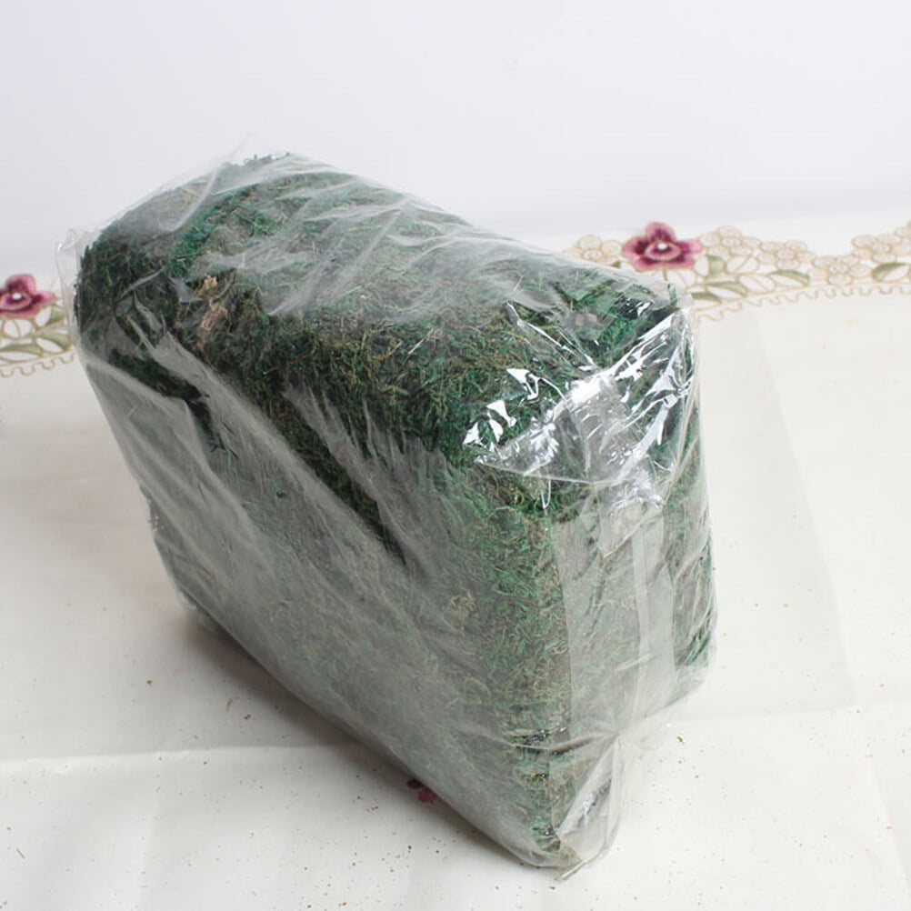 FRCOLOR Artificial Moss Craft Artificial Moss Lichen Green Synthetic Material 1Pack Relieve Eye Fatigue Kitchen