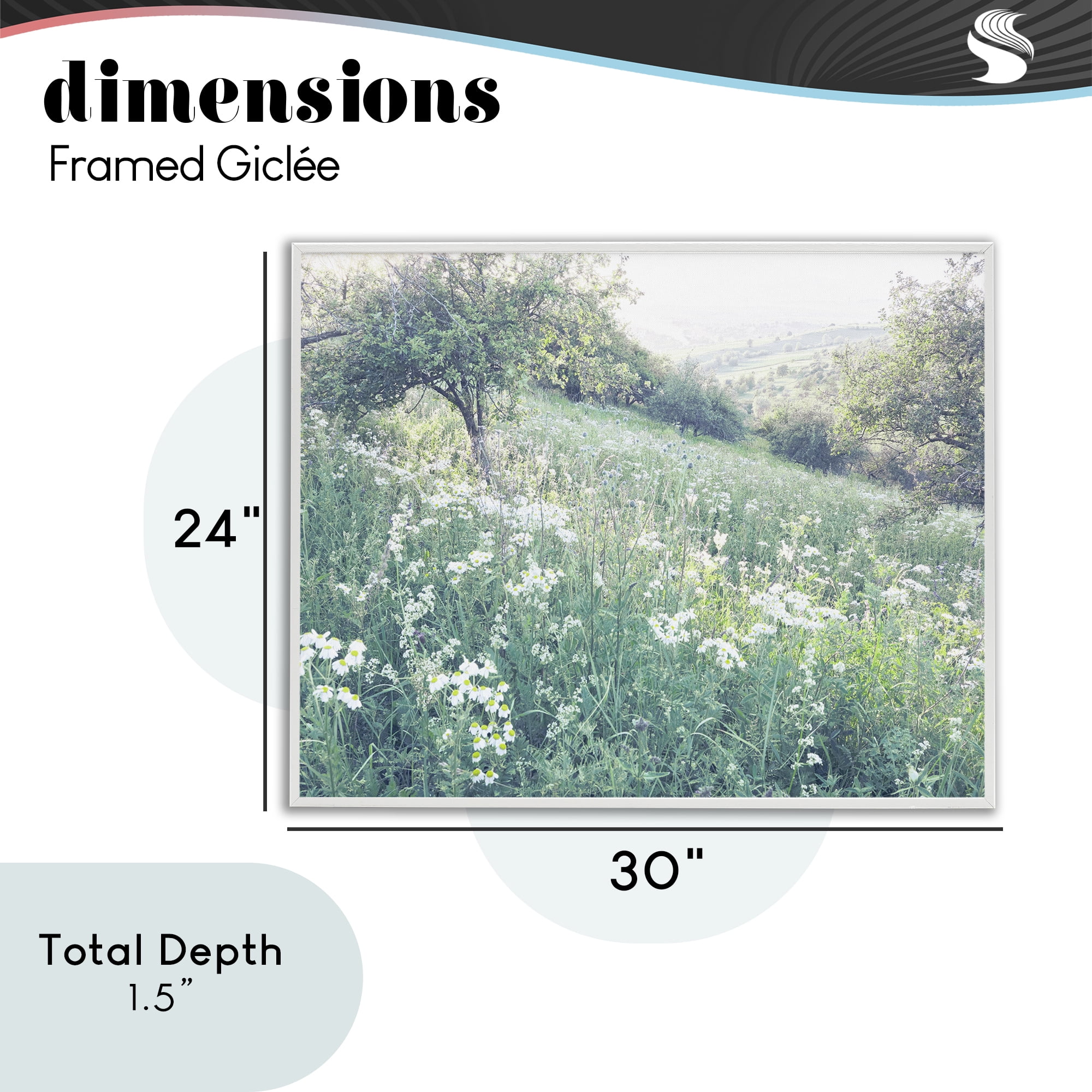 Stupell Industries Sunny Daisies in Meadow White Framed Giclee Art, design by Leah Straatsma