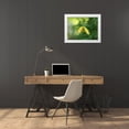 thumbnail image 3 of Bonin, Suzanne 24x19 White Modern Wood Framed Museum Art Print Titled - Orange Peel, 3 of 4