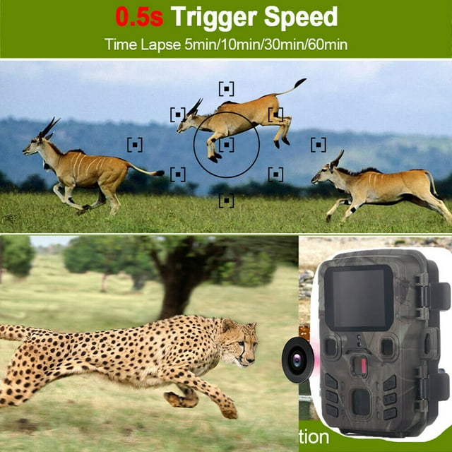 12MP Wildlife Trail Camera Outdoor Night Vision Motion waterproof tail camera; outdoor Detection Waterproof Hunting Camera