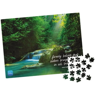 Falling Water Puzzle