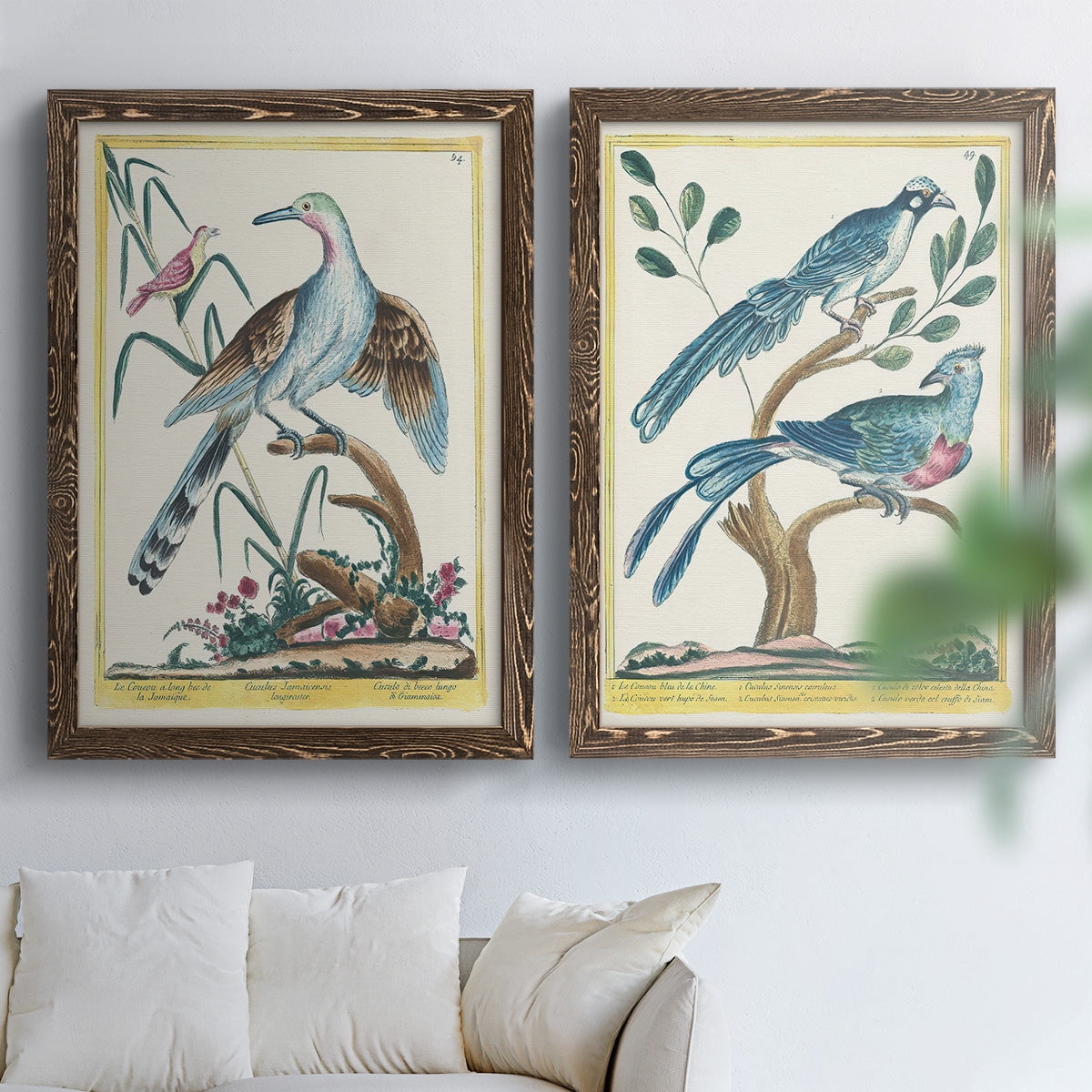 Pastel Birds V - Premium Framed Canvas 2 Piece Set - Ready to Hang