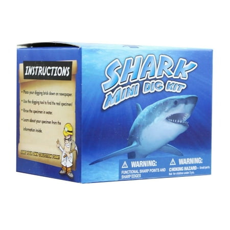 Digging Kit - Mini Shark Teeth Dig Science Kit