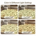 thumbnail image 7 of ODIKA 2'x3' Ultra-Soft Accent Mat, Fish Vintage Lake Cabin Motif Border Theme Trout Lure Fishing Flowing Dynamic None Washable, Bare feet friendly, Easy Care Indoor rug for Bedside, Footrest, 7 of 7