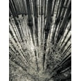 thumbnail image 2 of Manea, Aurel 12x14 White Modern Wood Framed Museum Art Print Titled - Synchronicity, 2 of 4