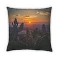 thumbnail image 2 of Ahgly Company Plants Cactus Outdoor Throw Pillow, 18 inch by 18 inch, 2 of 6