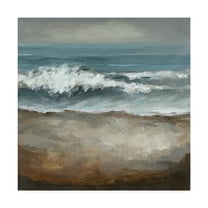 Trademark Fine Art 'Once in a While' Canvas Art by Christina Long