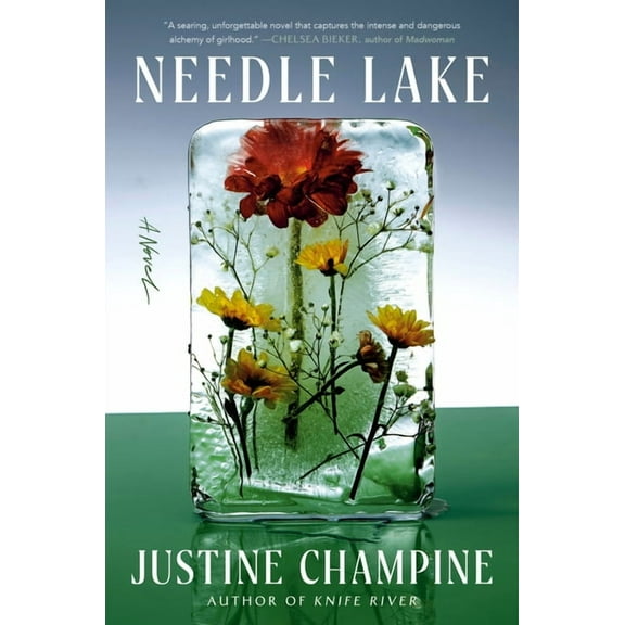 Needle Lake, (Hardcover)