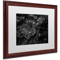 thumbnail image 2 of Trademark Fine Art "Pearls of Nature" Canvas Art by Mathieu Rivrin, White Matte, Wood Frame, 2 of 4