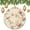pattern-2124, variant on Ceramic Christmas Ornament Vintage Animal Anas Platyrhynchos Bird Custom 3" Ceramic 2024 Xmas Ornament Christmas Ornaments for Christmas Tree Decorations Mallard Duck Soaring Christmas Ornaments
