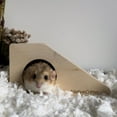 thumbnail image 4 of Climber Cave, 4 of 5