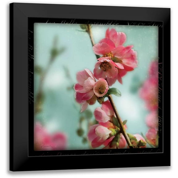Schlabach, Sue 12x12 Black Modern Framed Museum Art Print Titled - Quince Blossoms III