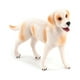thumbnail image 1 of Simulation World Solid Ornament Model Teddy Shiba Inu, 1 of 1
