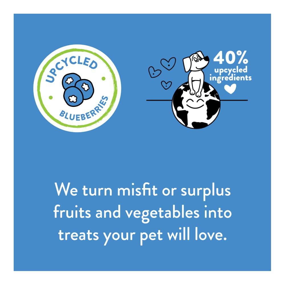 Shameless Pets Blueberried Treasure Blueberry & Mint Soft Baked Dog Treats Made With Upcycled Ingredients, 170 g