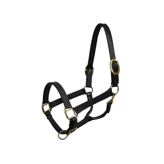 Cob Size Leather Halter w/ Brass Hardware (Black)