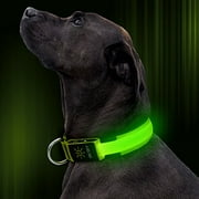 Illumifun LED Dog Collar, Nylon Adjustable Light Up Collar, USB Rechargeable Glowing Dog Collar Make Your Dogs Be Visible& Safe at Night(Green, Large)