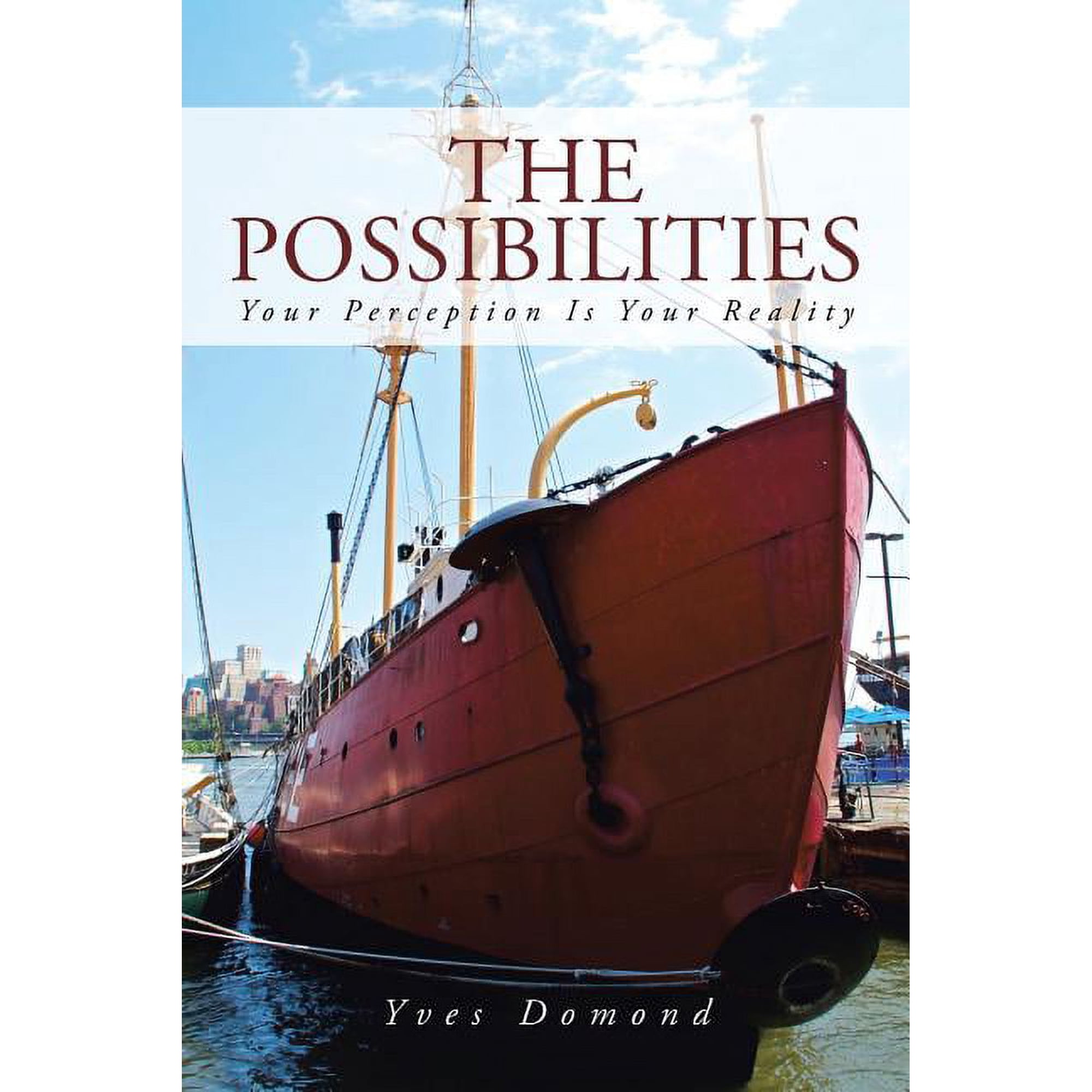 The Possibilities: Your Perception Is Your Reality (Paperback)