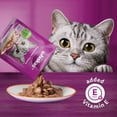 thumbnail image 4 of WHISKAS Favoris Bouchées en Sauce Gélifiée Saveur Saumon Sachet Nourriture Humide pour Chat Adulte, 85 g, 4 of 5