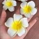 thumbnail image 4 of 1/10 Uds. Pinzas para el cabello de flores degradadas de verano, pinzas para el cabello dulces, tocados de diseño para mujer y niña, horquilla de perl, 4 of 5