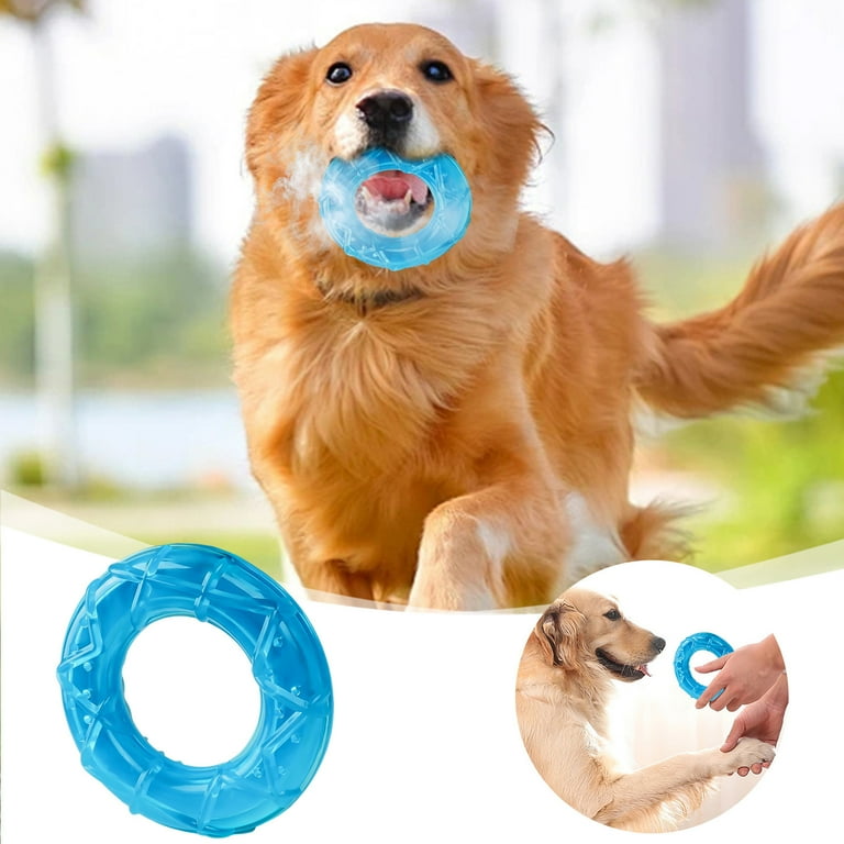 Durable Freezable Dog Chew Toy Teething Puppy Interactive Play TPR