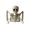 B, variant on Half Body Skeleton Tabletop Prop, Plastic Skull Torso, Halloween Mantel Display Ornament 9.45x8.66in