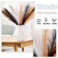 thumbnail image 4 of Pampas Grass Acfruits negro, blanco y naranja, 30 unidades, 43 cm, Halloween, 4 of 7