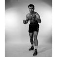 thumbnail image 2 of Studio portrait of male boxer Poster Print (24 x 36), 2 of 4