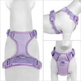 thumbnail image 6 of Didog Breathable Mesh Dog Harness Reflective Soft No Choke Puppy Vest Adjustable S-M-L, 6 of 12