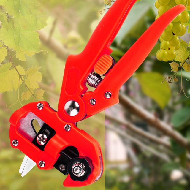 Podadora de jardín Tijeras para injertos Tijeras de podar para árboles frutales Cortador de ramas (B) Ndcxsfigh Nuevos Originales
