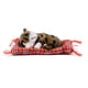 thumbnail image 3 of Muñeca de gato de simulación, niño durmiendo Simulación de gato Simulación de juguete de gato Simulación de gato de peluche Rendimiento confiable, 3 of 8
