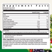 Floradix Iron & Herbs - Liquid Herbal Supplement for Energy Support - Iron Supplement with Vitamin C & Vitamin B Complex - Ferrous Gluconate Iron - for Men & Women - 8.5 fl oz