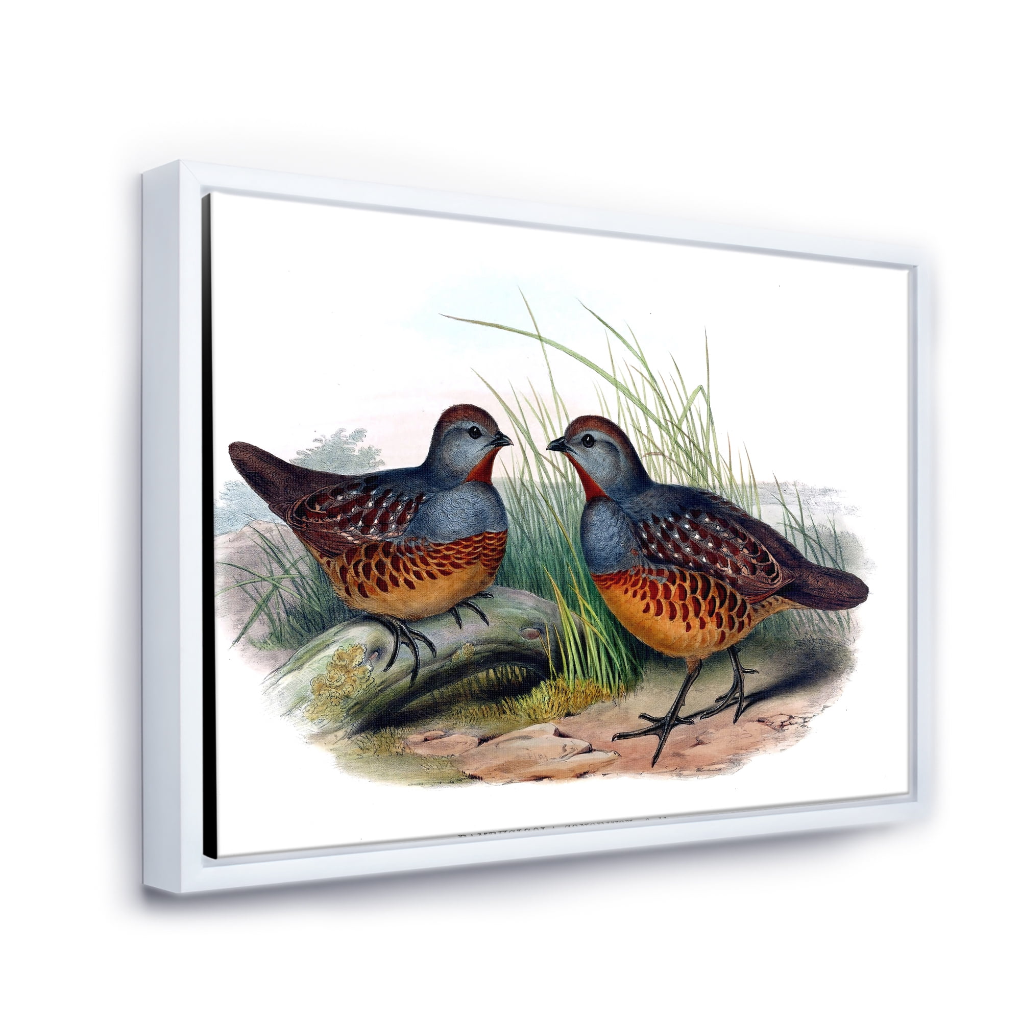 Designart 'Ancient Birds In The Wild VII' Traditional Framed Canvas Wall Art Print