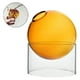 thumbnail image 4 of Jarrón de vidrio transparente con burbujas para plantas hidropónicas. Jarrón de vidrio transparente para flores. Naranja corto, 4 of 8