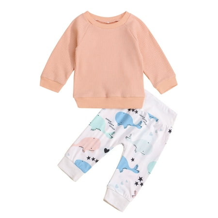 

Sunisery Infant Newborn Baby Boy Girl Clothes Set Autumn Long Sleeve Knitted Tops Flower Animal Pants Pink 18-24 Months