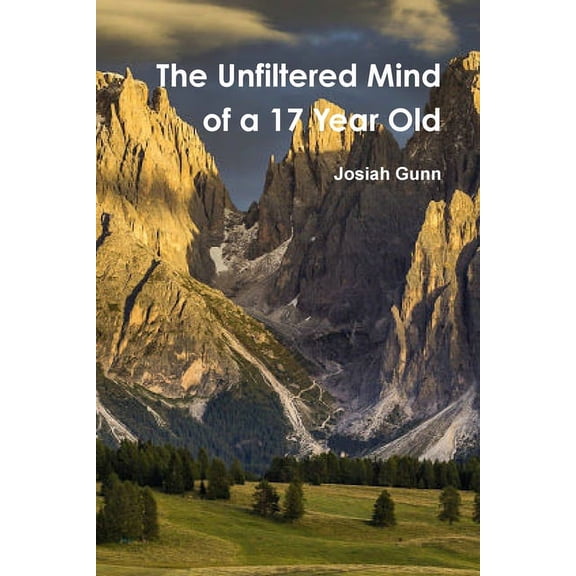 The Unfiltered Mind of a 17 Year Old (Paperback)