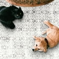 thumbnail image 5 of ReaLife Machine Washable Rug - Stain Resistant, Non-Shed - Eco-Friendly, Non-Slip, Family & Pet Friendly - Premium Recycled Fibers - Luna Distressed Tribal Stripe - Light Gray Ivory, 2'6" x 6', 5 of 7