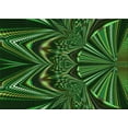 thumbnail image 1 of Ahgly Company Indoor Rectangle Patterned Dark Lime Green Area Rugs, 2' x 5', 1 of 6