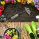 thumbnail image 4 of EeaseMX Azada de jardinería endurecida, de metal y hierro, herramienta para eliminar malezas en plantaciones agrícolas., 4 of 8