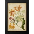 thumbnail image 2 of Weinmann 17x24 Black Modern Framed Museum Art Print Titled - Weinmann Tropical Floral II, 2 of 5