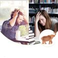 thumbnail image 2 of Kmbangi Wooden Animal Piggy Bank, Large Enough Coin Saving Money Box, 2 of 5