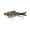 Bluegill Spawn, variant on 6th Sense – Trace Multi-Jointed Swimbait Series, Realistic Swimming Hard Bait