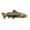 Gold Plated, variant on Tiger Trout Pin, FC022, Copper Plated 2”, Hybrid Fish, Realistic Fishing Lapel Pin, Hat, Brooch, Jewelry, Gift, 100% Handmade in the USA, 200 Fish Designs Available