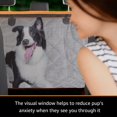 thumbnail image 3 of Funda Impermeable para Asiento de Perro iBuddy para Tesla Model 3 y Model Y (es_MX), 3 of 7