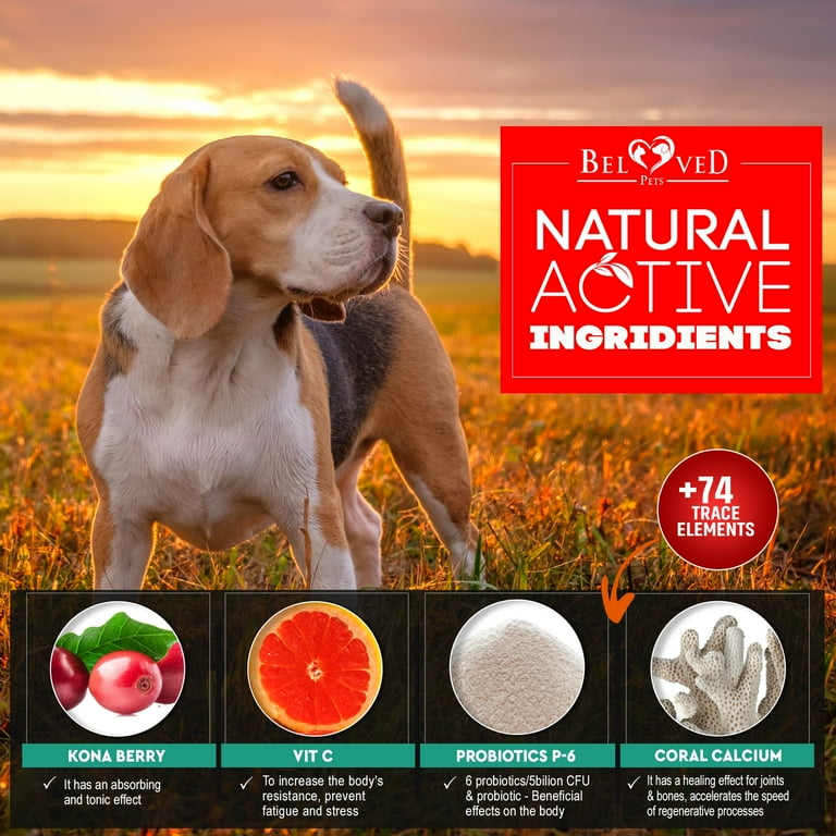 Anti itch cream for dogs clearance walmart